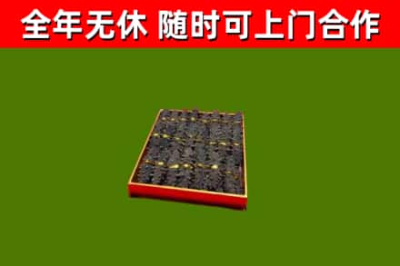 侯马市回收海参